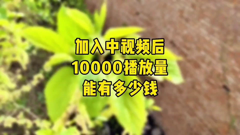 抖音播放量免费平台1000多_抖音免费领1000播放量网站_免费抖音1000播放量平台