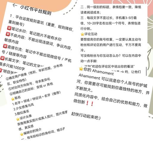 小红书快速涨粉方法_小红书涨粉是什么意思_薯条推广涨粉技巧