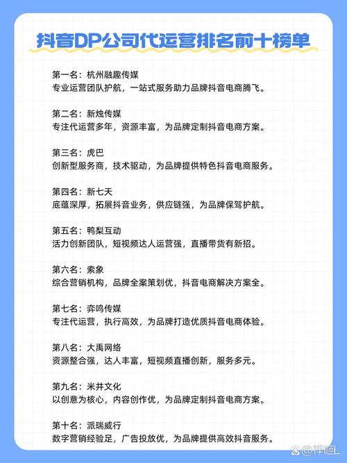 抖音业务网最便宜_抖音DP代运营服务商排名_2025年度十大顶级抖音DP代运营服务商
