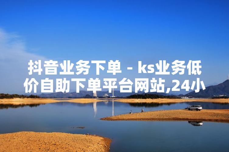 智能下单服务平台_ks自助下单服务平台低价_KS自助下单平台